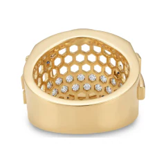 0.53 CTTW Mens Lion Head Halo Statement Ring in 10K Yellow Gold thumbnail 3